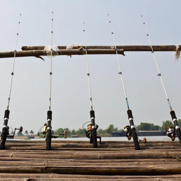 Kako odabrati štap za ribolov?