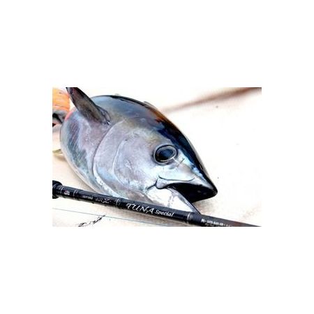 Abu Garcia Saltystage KR-X Tuna SXTS-82XXX-KR – JDM TACKLE