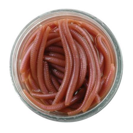 BERKLEY GULP ALIVE ANGLE WORM Cijena