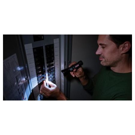 COLEMAN RUČNA LED LAMPA BATTERYGUARD 350L cijena, akcija