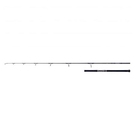 DAIWA 21 SALTIGA CASTING Cijena