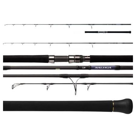 DAIWA 21 SALTIGA CASTING Cijena