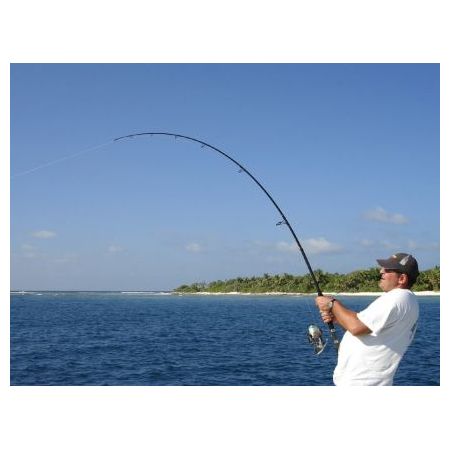 ITALCANNA GT SPECIAL POPPING ROD price, sale