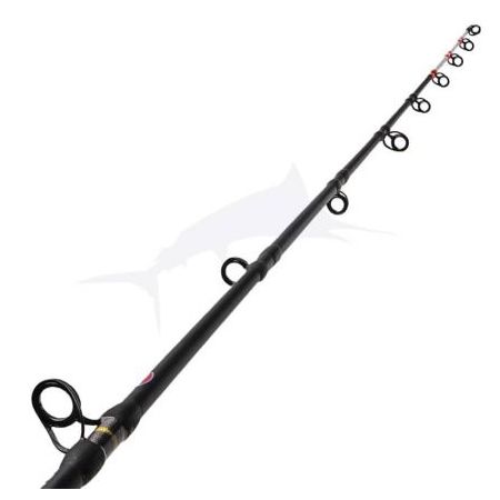 PENN MARINE BRIGADE DENTEX 1,90M 50-150g 1645001 Cijena