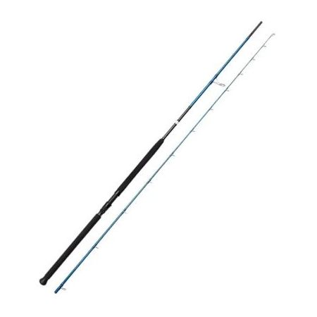 SAVAGE GEAR SGS2 SHORE JIGGING 2,90m 20-80g SVS74894 Cijena