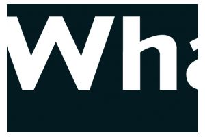 Whale Whale